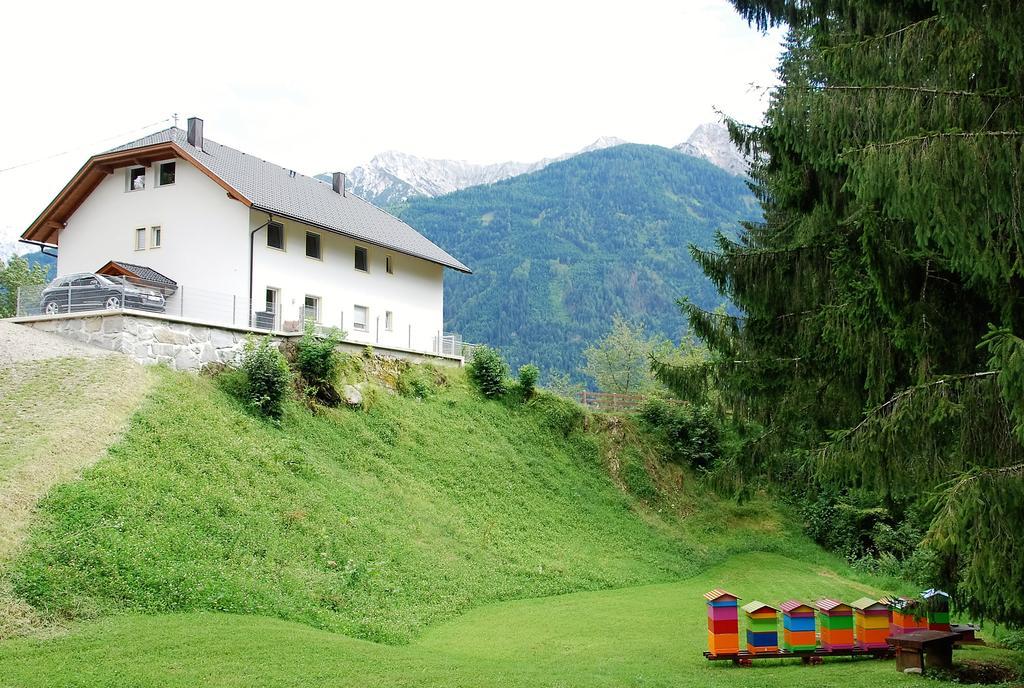 Dellach im Drautal Haus Pflaum 아파트 외부 사진