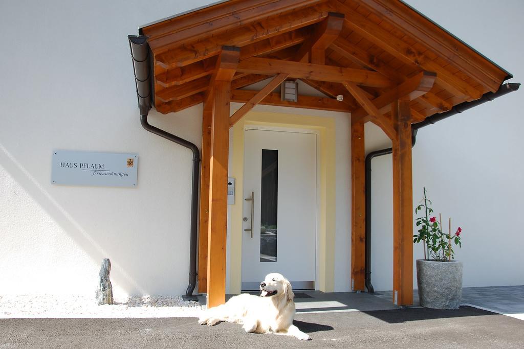Dellach im Drautal Haus Pflaum 아파트 외부 사진